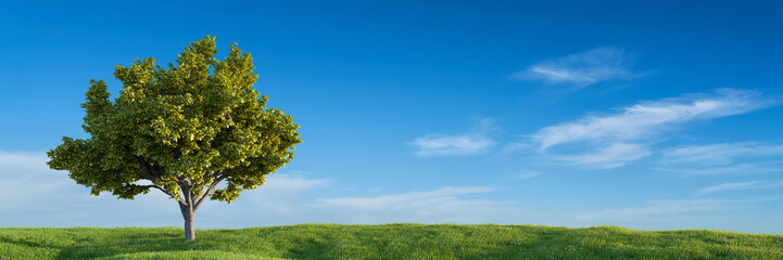 Fototapeta na wymiar Summer landscape with tree against a blue sky with white clouds (3D Rendering)