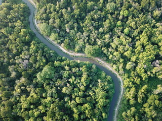 Aerial view lush green woodland at Juru, Penang.