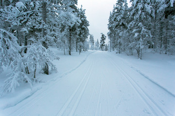Fototapeta na wymiar A frozen landscape in Finland
