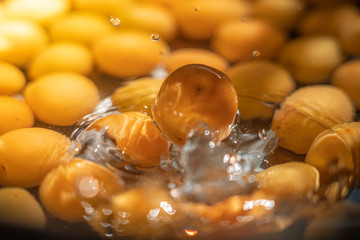 plum water splash