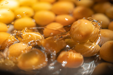 plum water splash