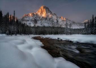 Mt. Chephren Banff National Park Canada