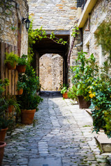 Cyprus village Lefkara. View of a village stony street with lot of green. Selective focus