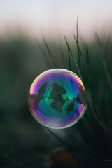 soap bubbles in the air