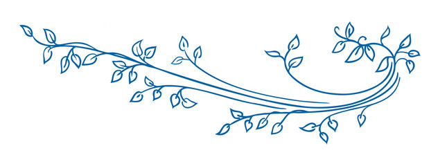 leaves and curls in hand drawn vector design element for borders or corners, chapter or paragraph underline or divider for books or website design, wedding invitations, pretty nature doodle