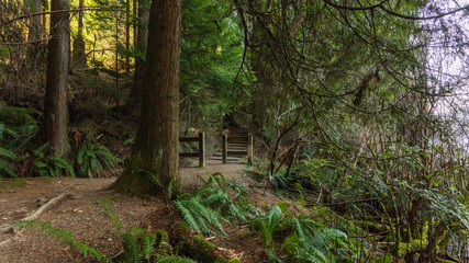 Loop trail at Sasamat Lake, BC - early spring
