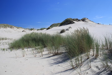Słowiński Park narodowy, plaża z wydmami.