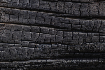Charred black wood for background. Texture.