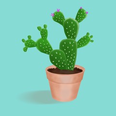 Abstract of cactus in pastel pots on light blue background, cacti is an easy-to-grow and durable plant. Therefore many people are compared to people with strong patience. Popular to decorate the house