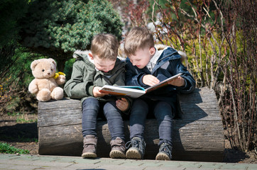 two Boys Sitting on a tree and Reads a Book