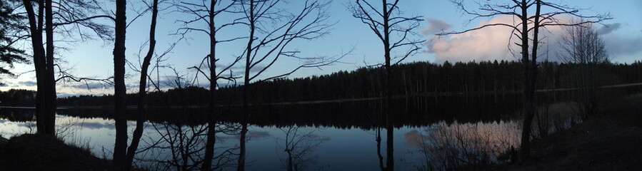 forest near the lake in the late evening