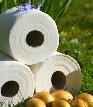 Osternest mit drei Rollen Klopapier und goldenen Eiern auf einer gr&uuml;nen Wiese