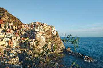 Fototapeta na wymiar Cinque terra sea view. Houses, water and trees. Film color and little of film grain. 