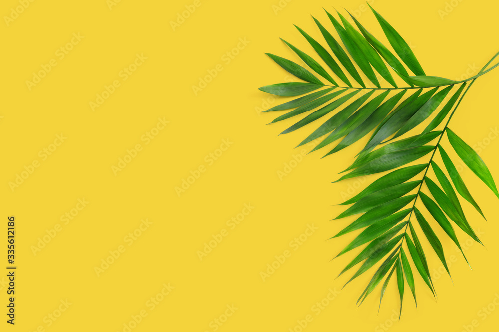 Sticker Creative flat lay top view of green tropical palm leaves on yellow paper background