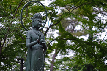 Fototapeta na wymiar statue of Buddha
