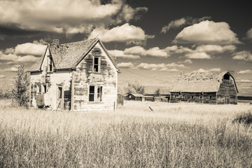 Old Farm Yard
