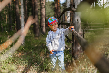 A boy in a gray sweatshirt and jeans cap is walking in the summer forest.