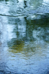 Wasser