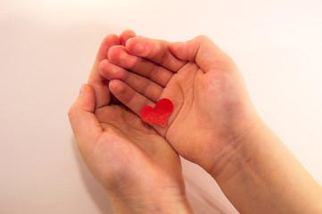 heart in hands