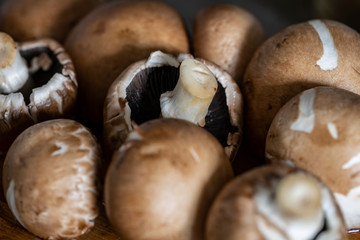 a lot of brown mushrooms king champignon in the kitchen