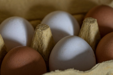 White and brown Easter Eggs in the box 