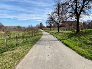 St. Oswald und Otmar Kirche Kapelle am Apfel Wanderweg in Frenkenbach bei Immenstaad