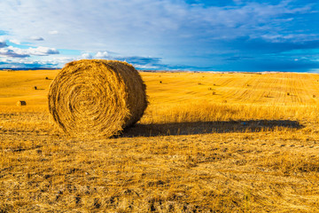Round Hay Bales