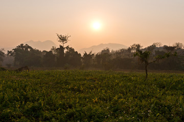 Beautiful Sunrise Behind the Mountains at Pai, Thailand, Asia