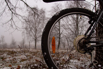 a bicycle in the snow parked by a tree.