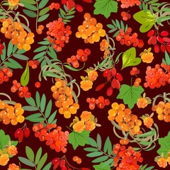 Pattern of sea-buckthorn, mountain ash, cloudberry, barberry. Vector illustration.