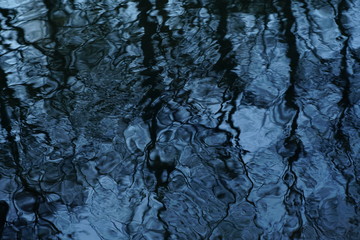 Water nature reflexions of plants during spring