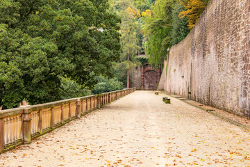 Fototapeta premium Schloss Heidelberg