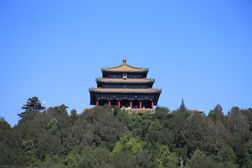Chinese Temple - 335618766