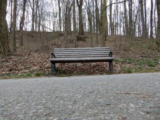 bench in the park