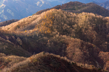 日本の国立公園・奥日光、半月山からの景色
