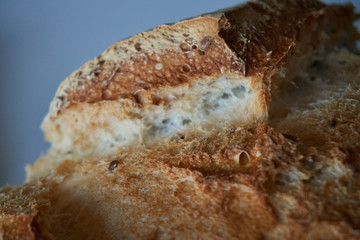 Close Up of freshly baked round bread homemade gluten-free artisan loaf