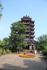 Chinese Pagoda - 335620173