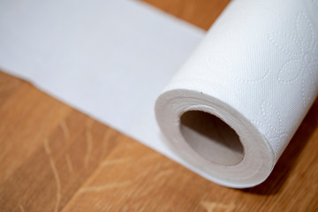 roll of toilet paper