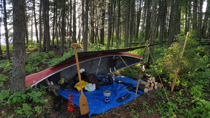 Voyageur returns