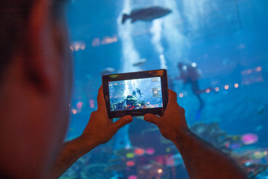 Person taking picture of aquarium in Dubai
