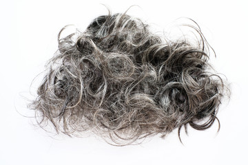 Freshly cut gray hair on white background