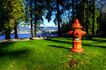 fire hydrant in park - Powered by Adobe
