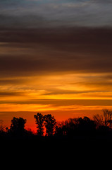 Imagen de un atardecer a contraluz con el perfil de una arboleda en un espacio campestre  