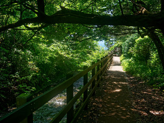 Obraz premium Beautiful footpath with wooden fence next to the Tajima river leading to the Jogasaki coast in Ito, Izu, Japan.