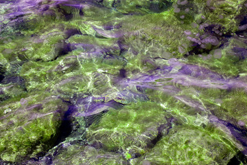 Reflection in the water of a stone texture in the light of the sun. Waves at sea and natural stones. Different colors and a unique pattern of sea waves on a sunny day.