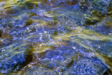Reflection in the water of a stone texture in the light of the sun. Waves at sea and natural stones. Different colors and a unique pattern of sea waves on a sunny day.