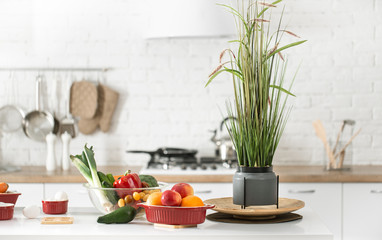 Modern stylish kitchen interior with vegetables and fruits on the table .