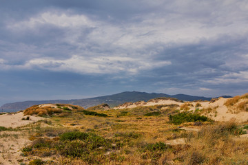 Fototapeta na wymiar Landscape of grass in sand dunes and blue sky near the Atlantic coast. Sunny summer day. Guincho beach. Atlantic ocean. Portugal.