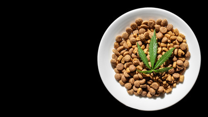 CBD Hemp Food delicacy for dogs and cats in dishes with green leaf of hemp close-up with copy space on black background - CBD cannabis treats and medical marijuana for pets concept