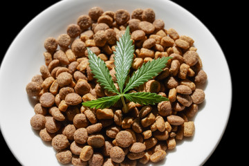 CBD Hemp Food delicacy for dogs and cats in dishes with green leaf of hemp close-up with copy space on black background - CBD cannabis treats and medical marijuana for pets concept